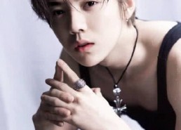 娱乐圈吃瓜主播鹿晗长视频,娱乐圈幕后故事大公开