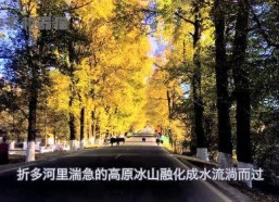 娱乐吃瓜君的作品,揭秘娱乐圈那些不为人知的幕后故事