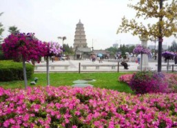 西安追星吃瓜娱乐公司,吃瓜娱乐公司引领潮流解析