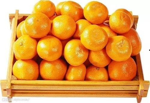 娱乐吃瓜橘子精,橘子精的吃瓜传奇