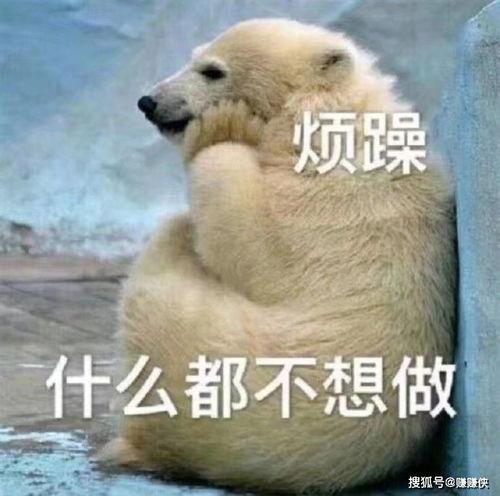 吃瓜群众图片搞笑图片,搞笑图片大盘点