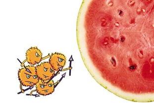 娱乐吃瓜酱菌,揭秘娱乐圈那些不为人知的幕后故事