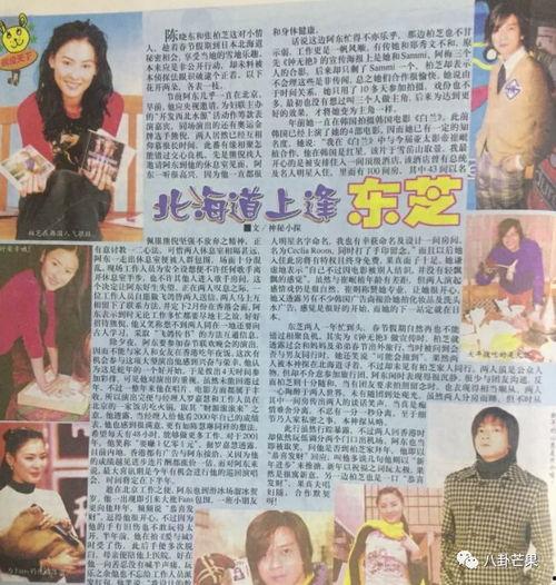 讲故事吃瓜娱乐圈小说,瓜田里的明星秘闻