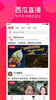 娱乐吃瓜酱视频模板下载,跟随“娱乐吃瓜酱”视频模板，一探究竟！